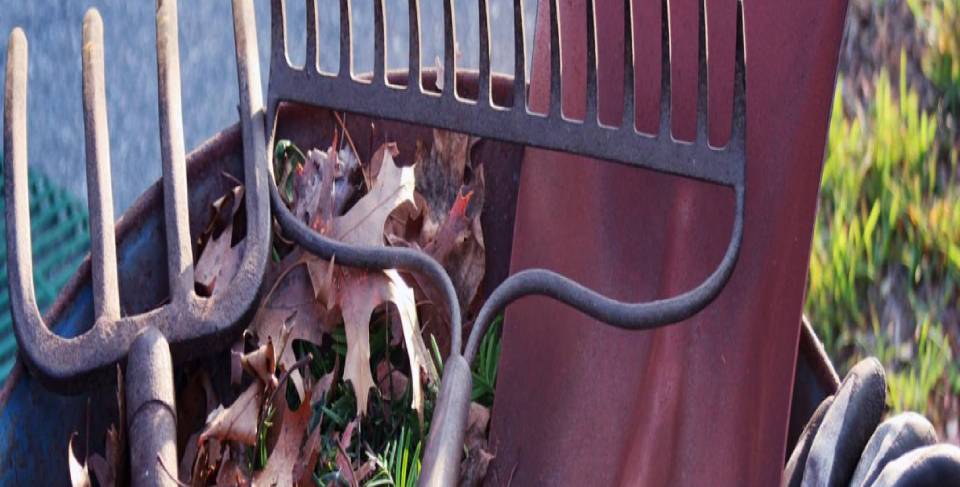 Tuinaanleg Hoveniersbedrijf J. Lodewijk & Zoon Enschede